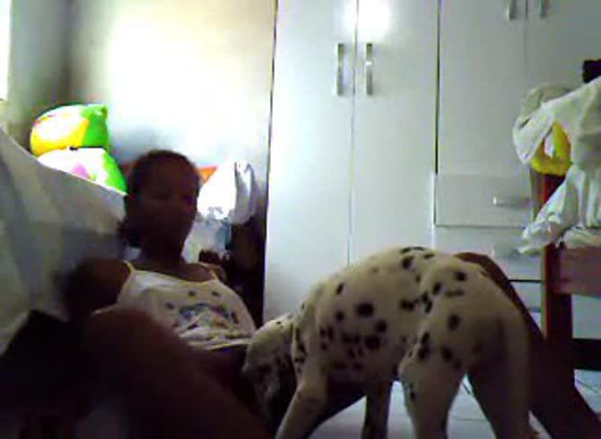 Video :Dalmatian dog xxx licking a woman's pussy